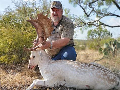 Contact: Mark McMillan Email: mmcmillan@m3whitetails. . Raising fallow deer in texas